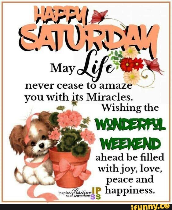 Good Morning Everyone! 🌹 Have a fabulous Saturday morning and I love you  guys 🌹👑🙋🏽‍♀️❤ - TO May never cease to amaze you with its Miracles.  Wishing the (EEKEND ahead be filled