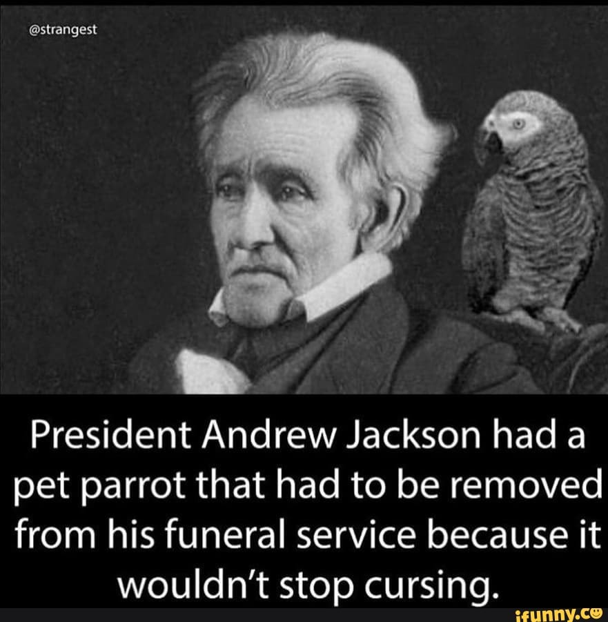 @strangest President Andrew Jackson had a pet parrot that had to be
