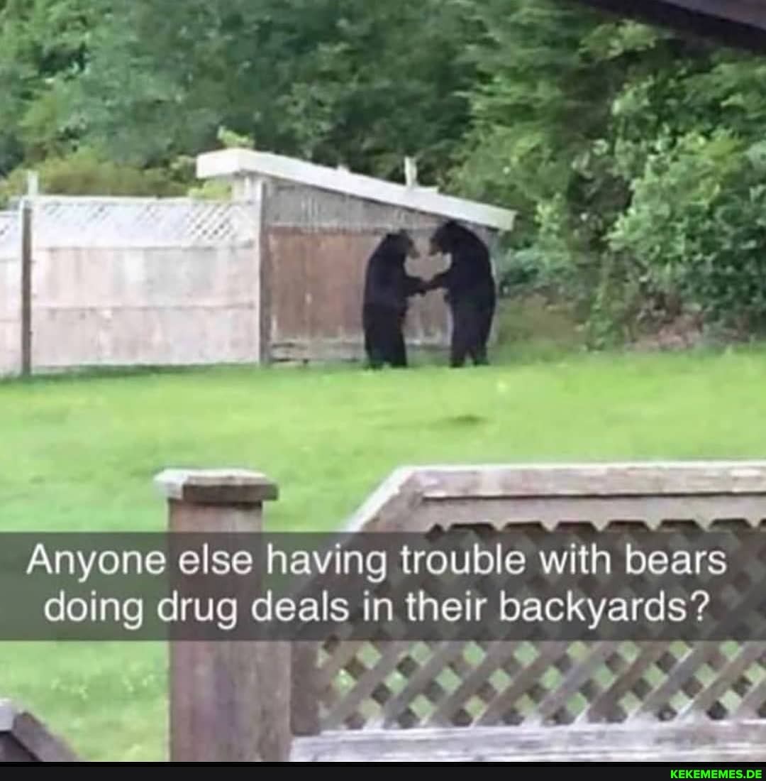 Anyone else having trouble with bears doing drug deals in their backyards?