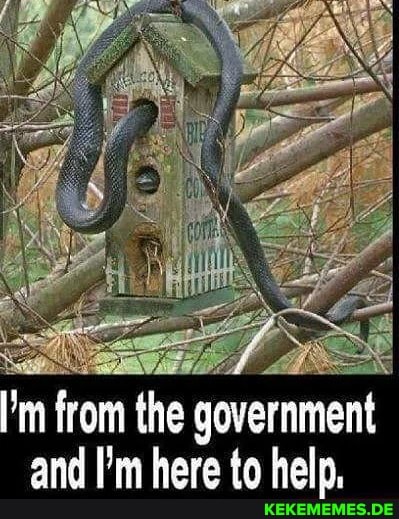 I'm from the government and hara he