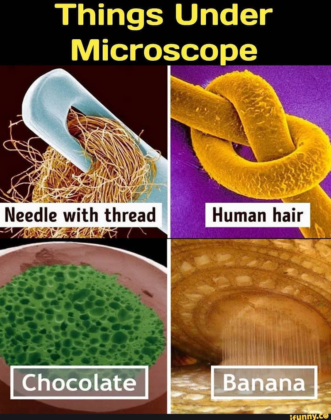 microscopic bag and my microscopic bank acc. : r/terriblefacebookmemes
