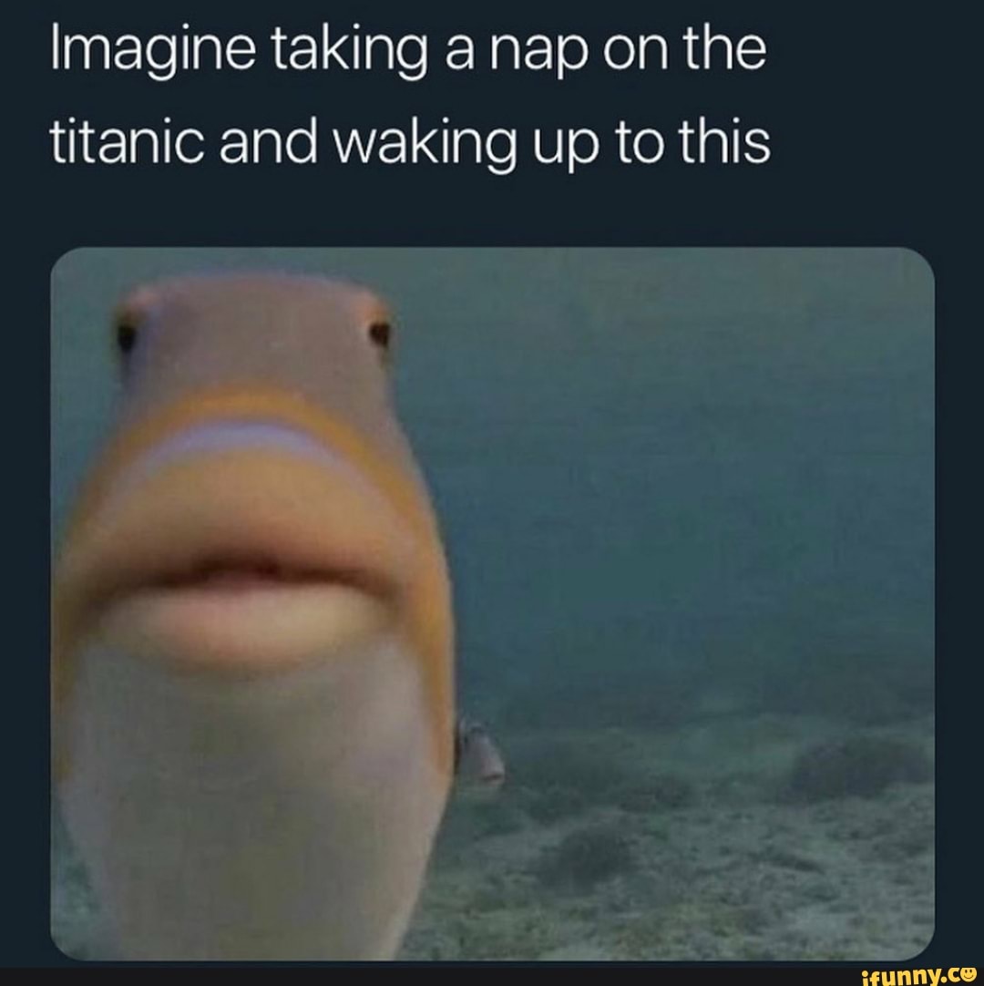 Imagine taking a nap on the
titanic and waking up to this