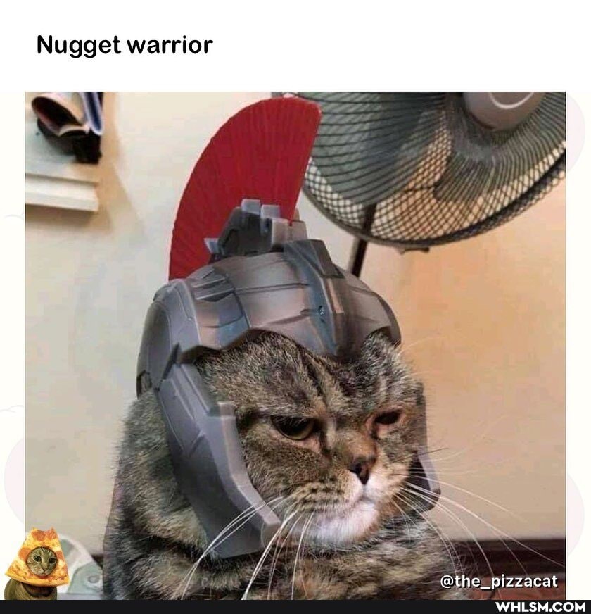 Nugget warrior
@the nizzacat