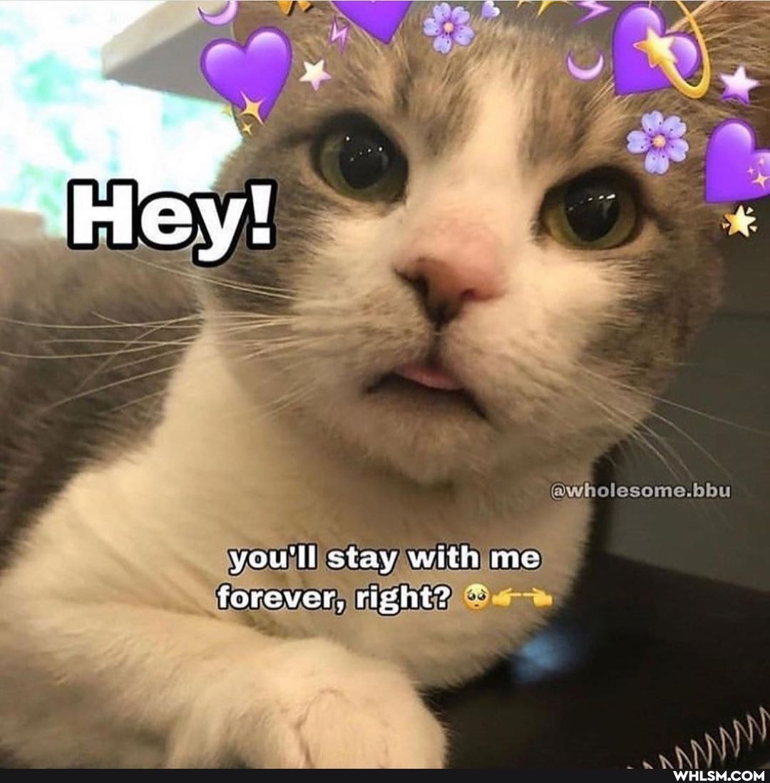 "Hey!
@wholesome.bbu
you'll stay with mc forever, right?