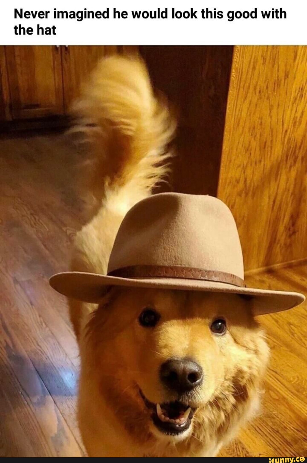 Never imagined he would look this good with
the hat