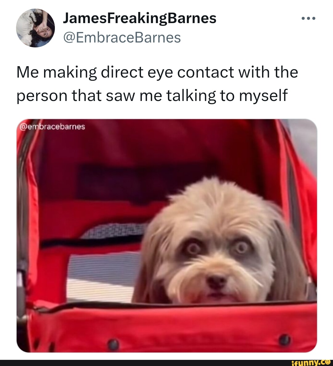 Eyecontact memes. Best Collection of funny Eyecontact pictures on iFunny