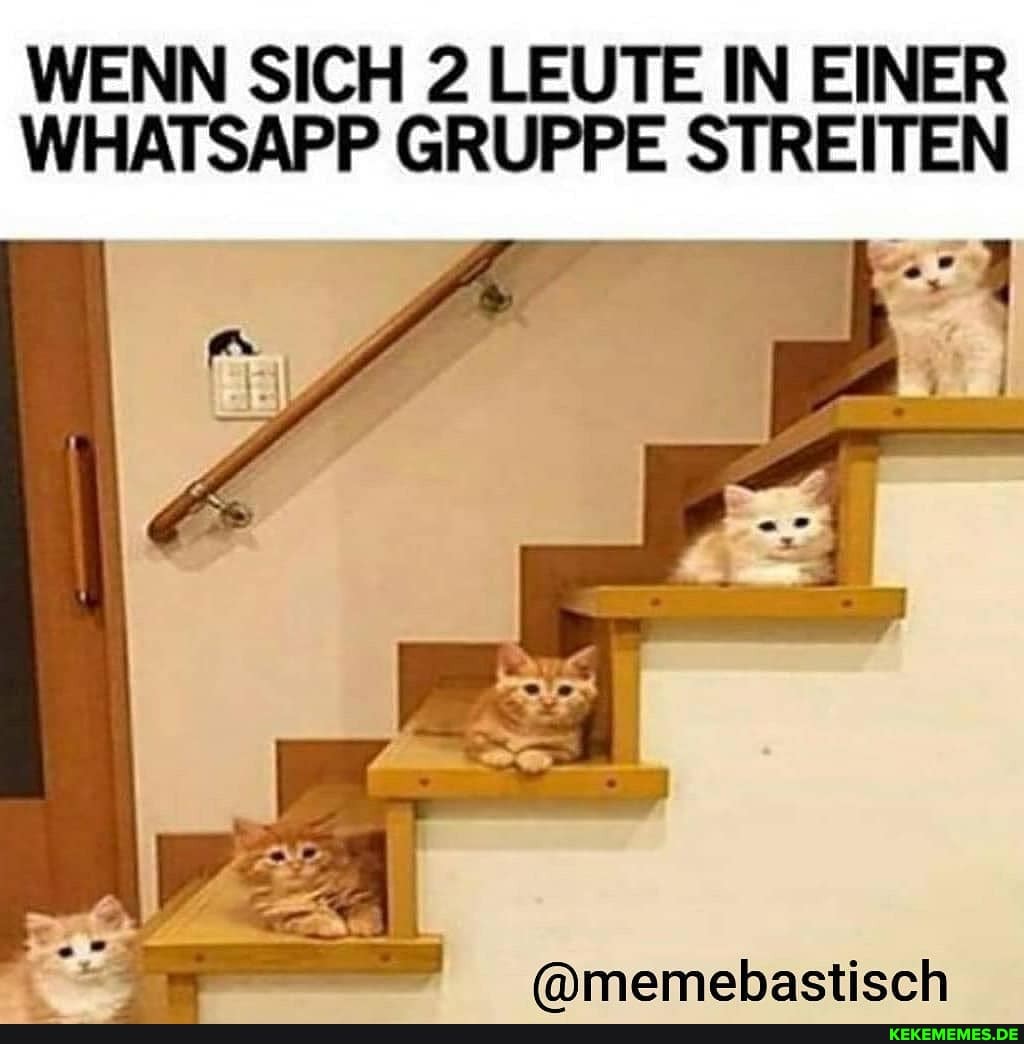WENN SICH 2 LEUTE IN EINER WHATSAPP GRUPPE STREITEN
@amemebastisch