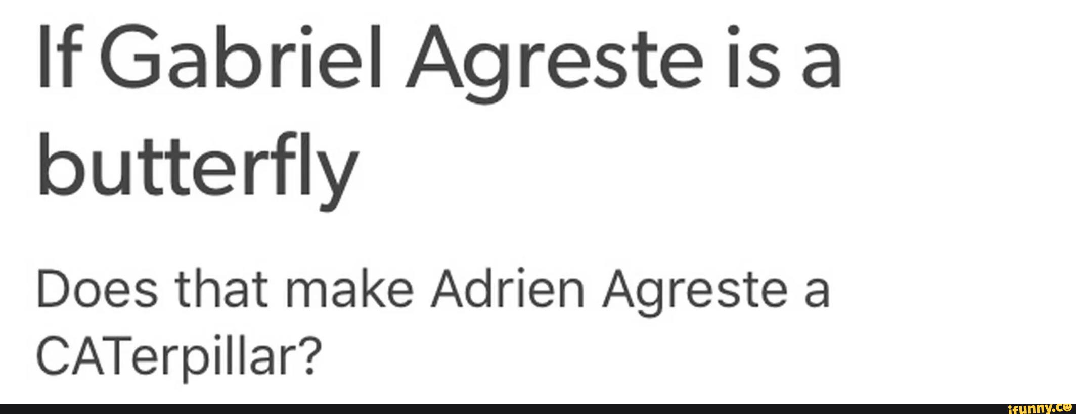 If Gabriel Agreste Is A Butterfly Does That Make Adrien Agreste A Caterpillar