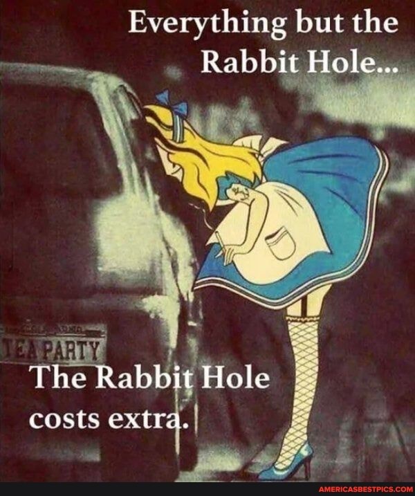 Everything but the
Rabbit Hole
The Rabbit iy Hole costs extra. I