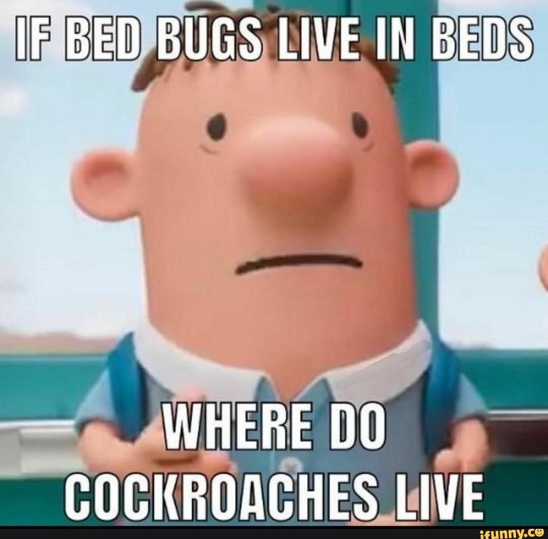 if-bed-bugs-live-in-beds-where-do-cockroaches-live-ifunny