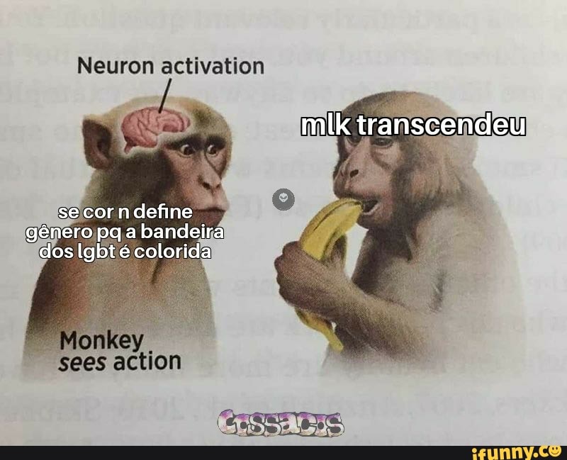 Neuron activation
bandeira
Sees action