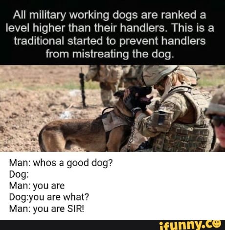 why do military dogs outrank their handlers