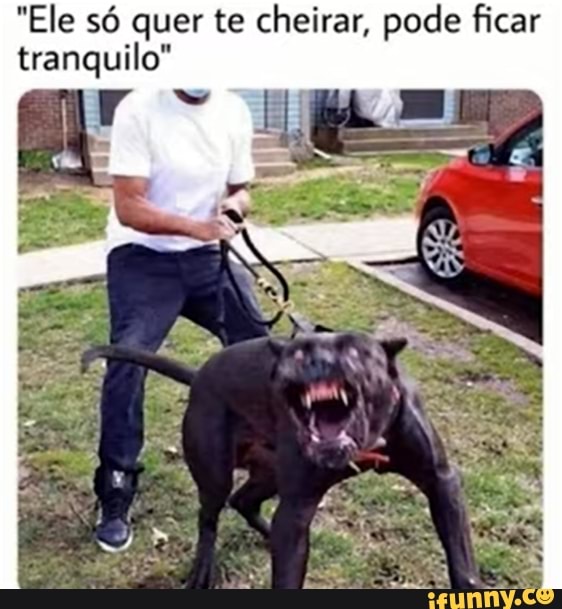 "Ele só quer te cheirar, pode ficar
tranquilo"