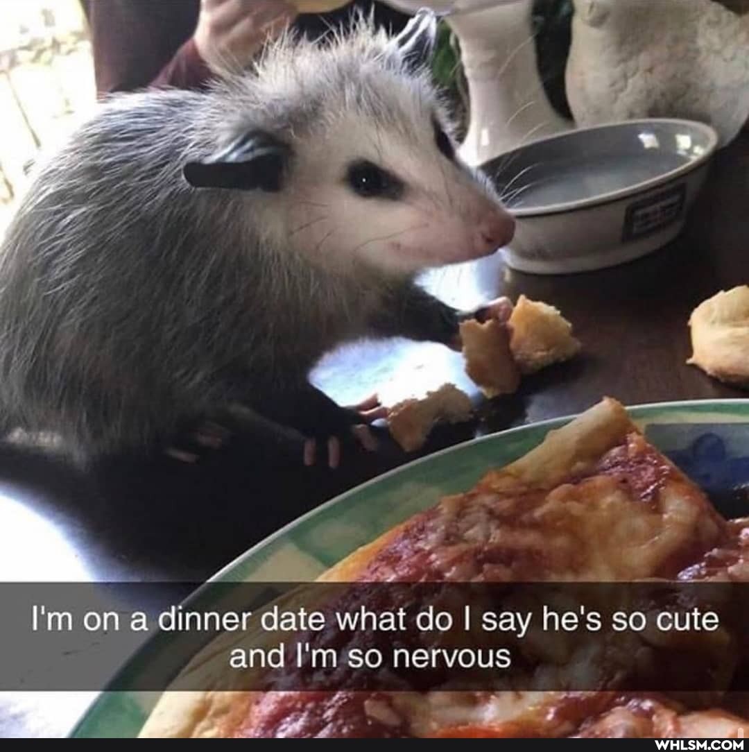I'm on a dinner date what do I say he's so cute and I'm so nervous
Vay... - ais"