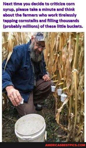 Next time you decide to criticize corn syrup, please take a minute and think about the farmers who work tirelessly tapping cornstalks and filling thousands
(probably millions) of these little buckets.