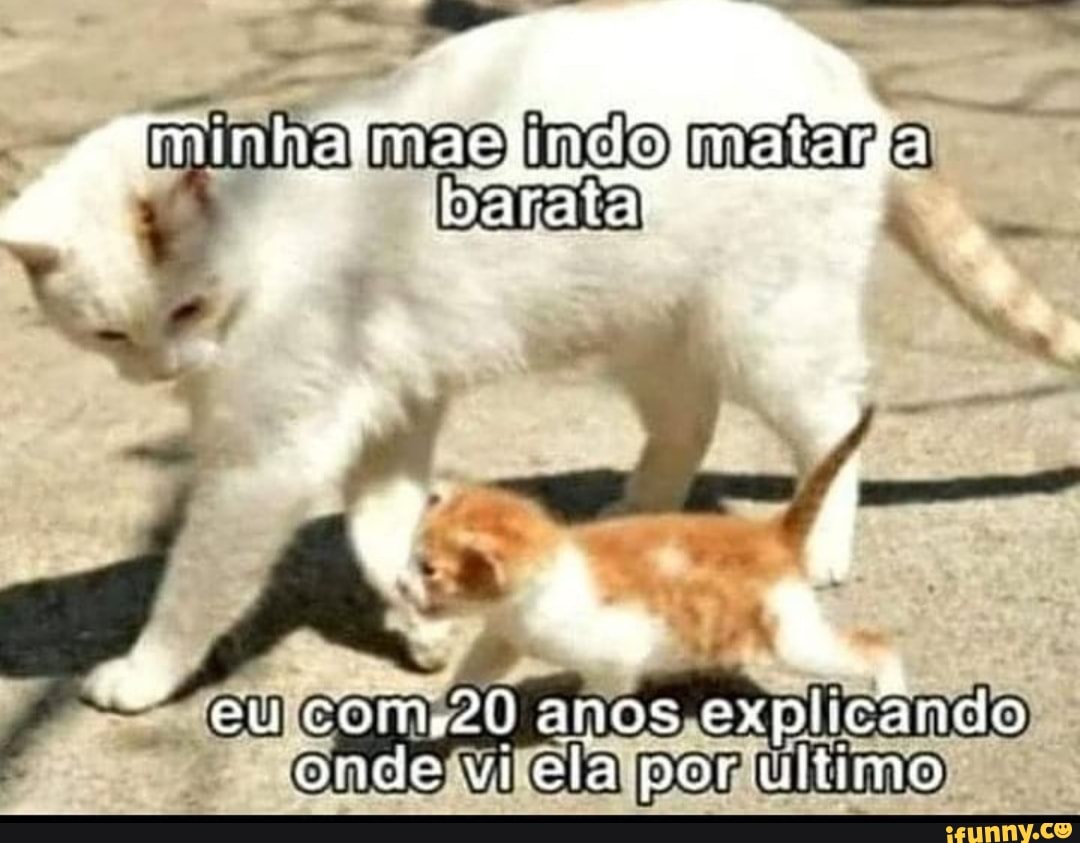 indo matar
eu com,20 anos explicando onde vi ela por ultimo