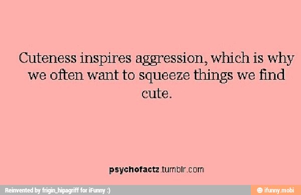 Cuteness inspires aggression, which is why
we often want to squeeze things we find
cute.
psychofactz tumbir com