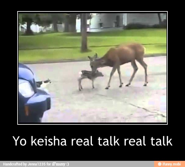 Yo keisha real talk real talk - Yo keisha real talk real talk