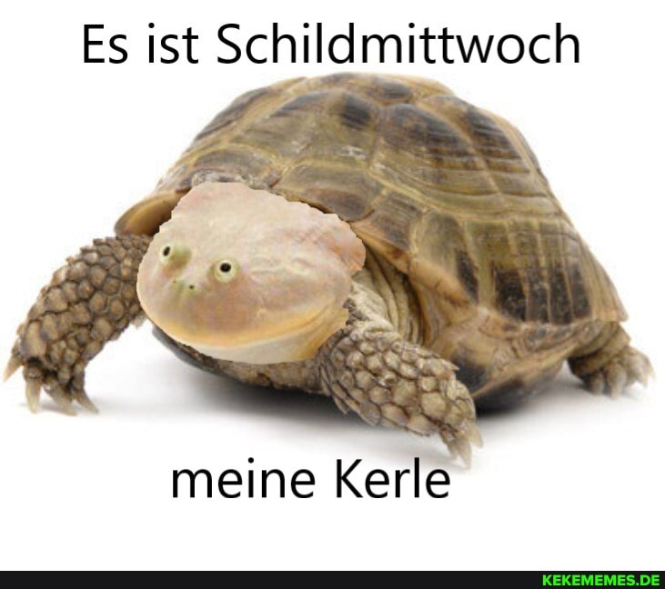 Es ist Schildmittwoch
meine Kerle