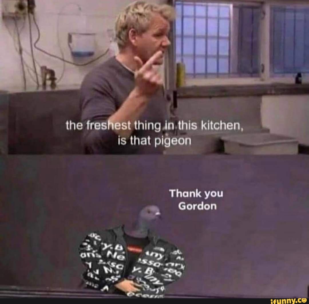 the freshest thing In this kitchen, is that pigeon
Thank you
Gordon