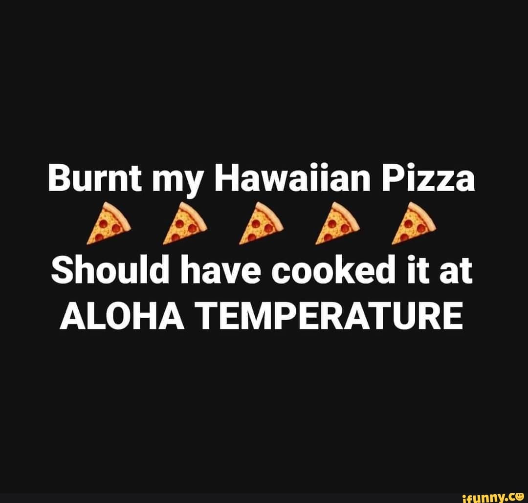 Burnt My Hawaiian Pizza Ada Should Have Cooked It At Aloha Temperature Ifunny 7458