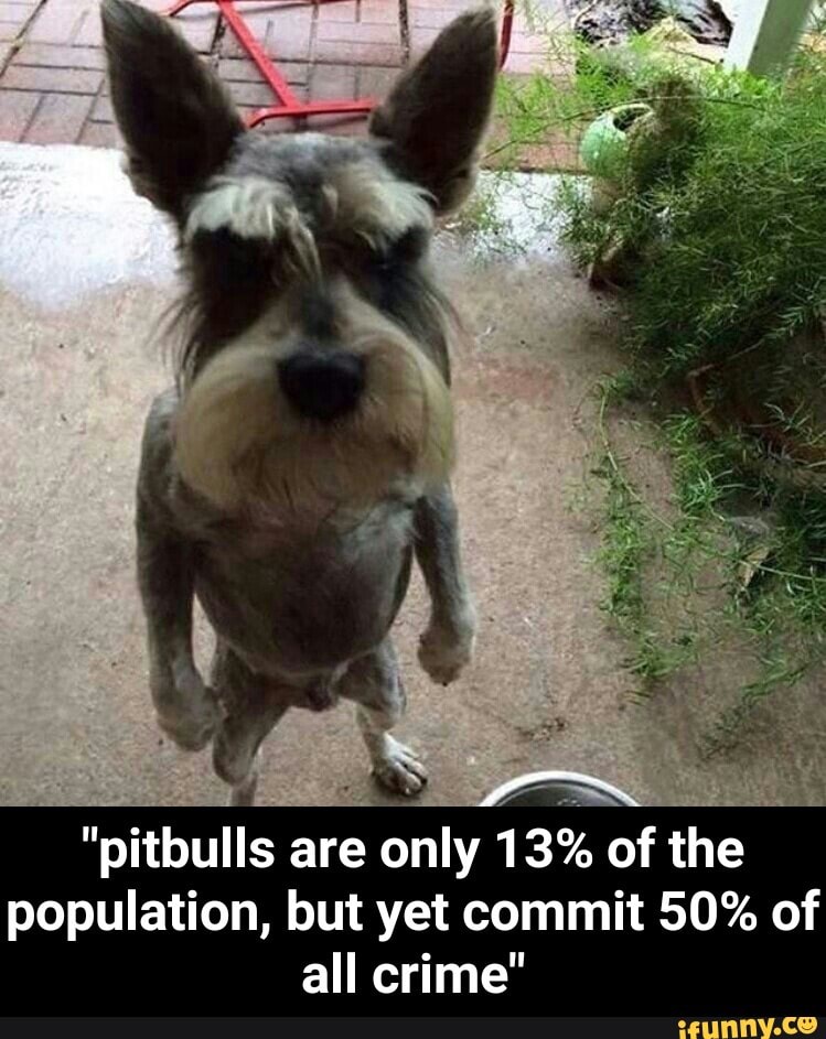 Pitbulls Are Only 13 Of The Population But Yet Commit 50 Of All Crime Pitbulls Are Only 13 Of The Population But Yet Commit 50 Of All Crime Ifunny