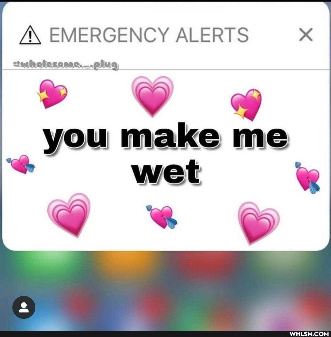 Z\ EMERGENCY ALERTS
ttwholesome._.plug
you make me
wet