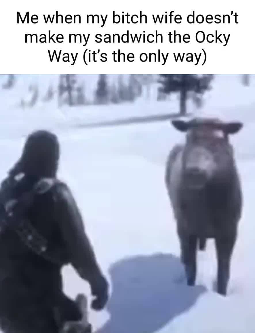 bitch wife doesnt make my sandwich