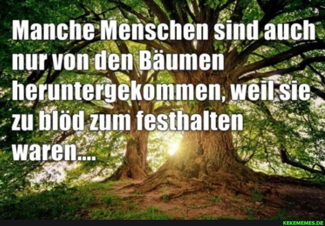 Manche Menschen sind auch nur von den Baumen heruntergekommen, weil Sie zu blod zum festhalten waren... .