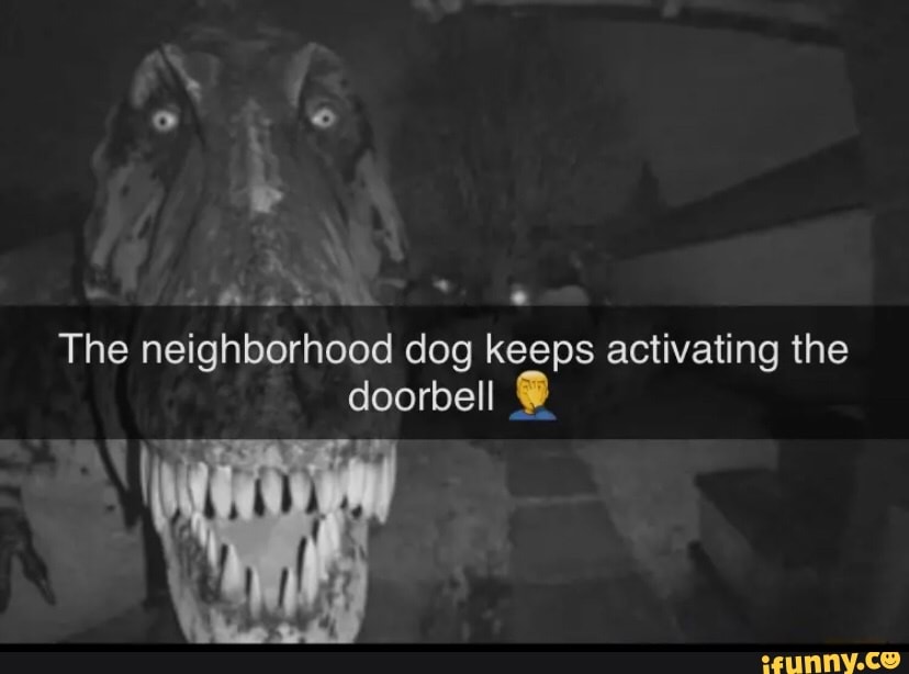 ni-the-neighborhood-dog-keeps-activating-the-doorbell-ifunny