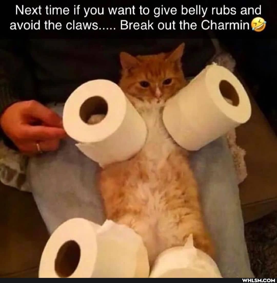 Next time if you want to give belly rubs and avoid the claws..... Break out the Charmin@