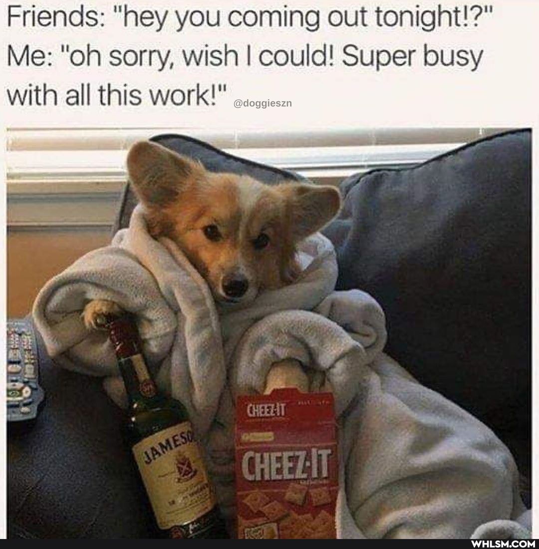 Friends: "hey you coming out tonight!?"
Me: "oh sorry, wish I could! Super busy with all this work!"