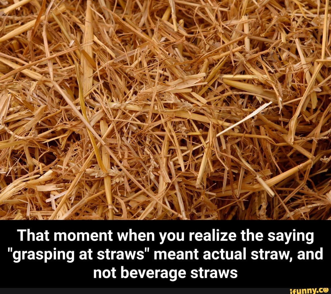 Graspingatstraws memes. Best Collection of funny Graspingatstraws