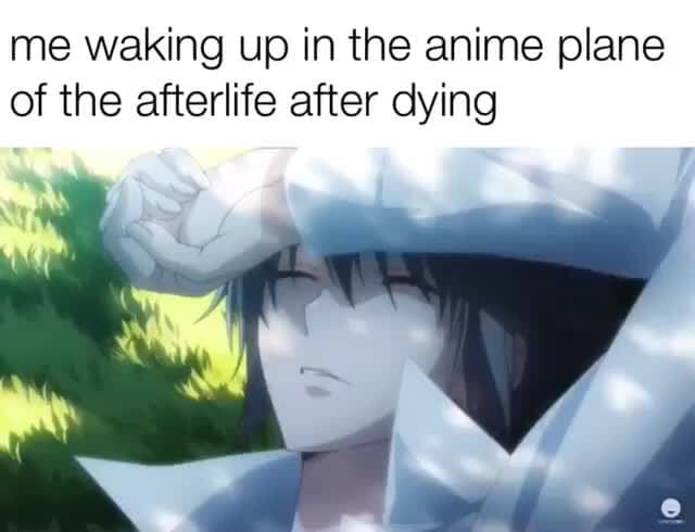 Me Waking Up In The Anime Plane Of The Afterlife After Dying Ifunny