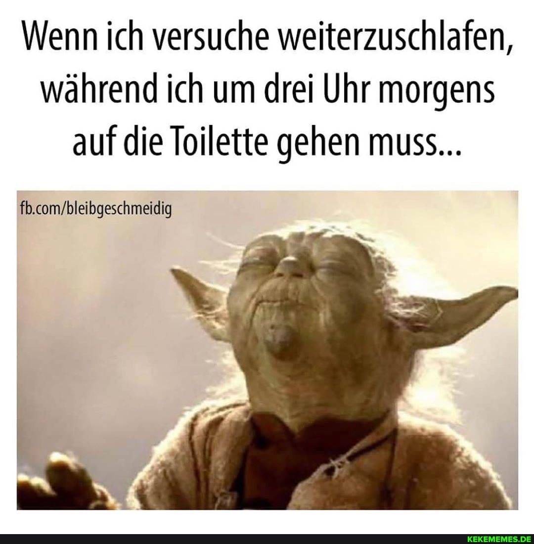 Wenn ich versuche weiterzuschlafen, während ich um drei Uhr morgens auf die Toilette gehen muss...