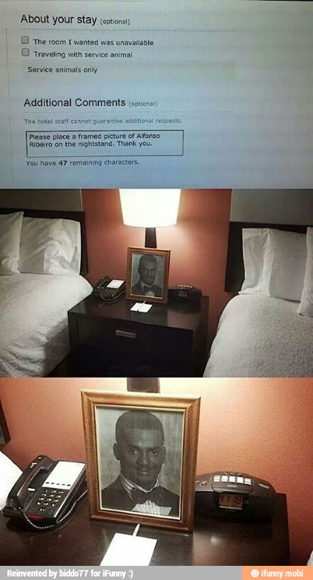 About your stay coctonsy
O tre room 1 wanted was unavailable
Travoting with animal
'Service animals only