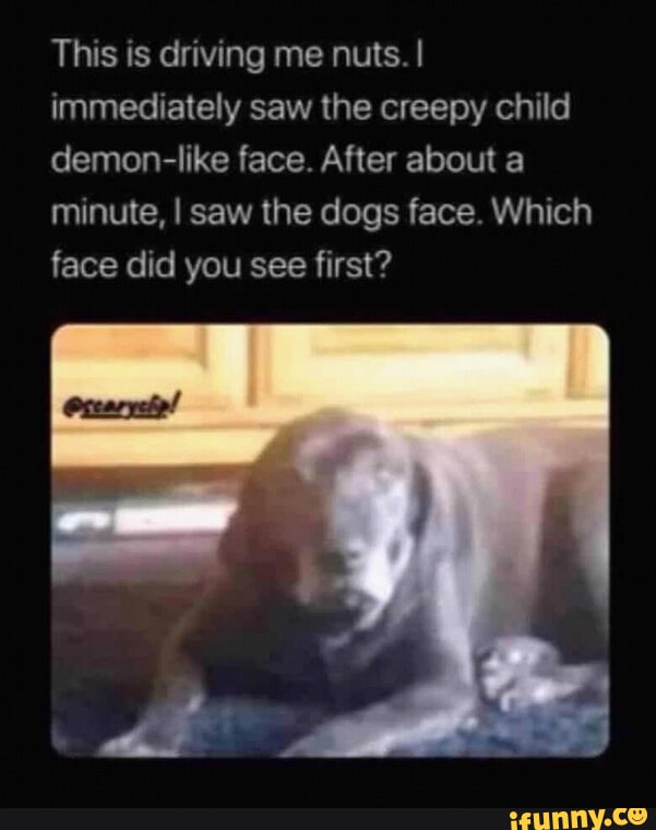 creepy dog face meme