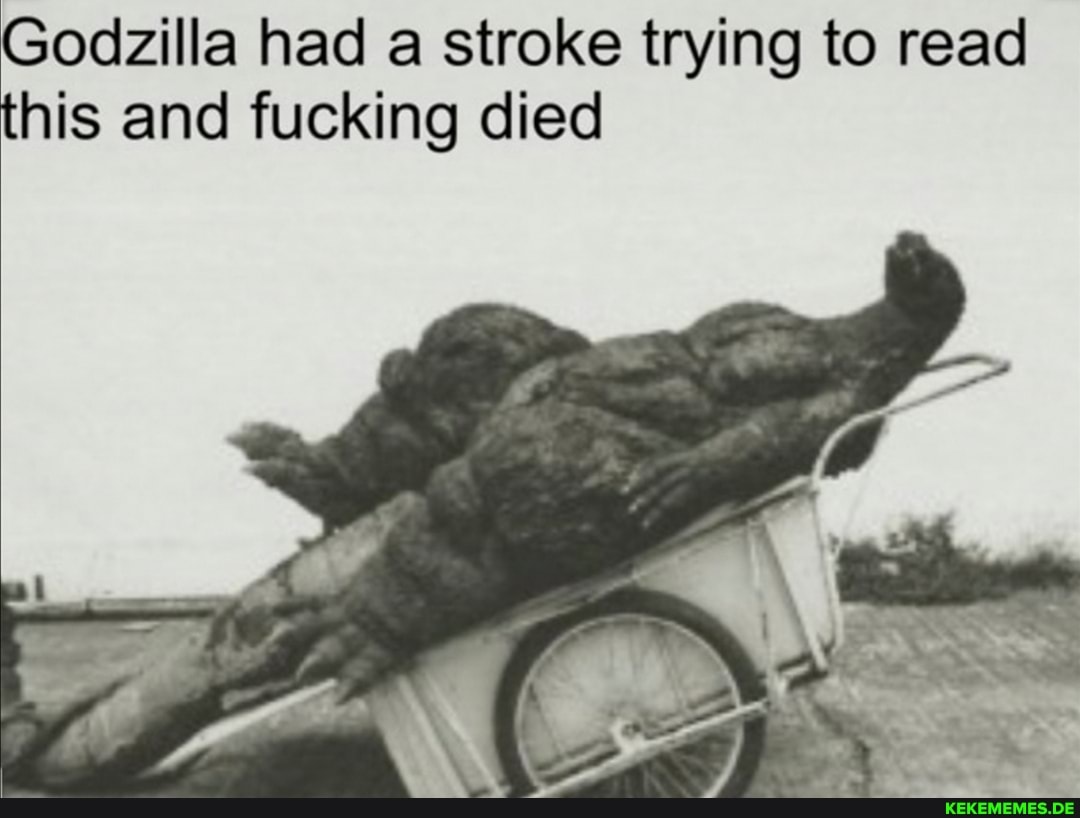 Godzilla had a stroke trying to read this and fucking died