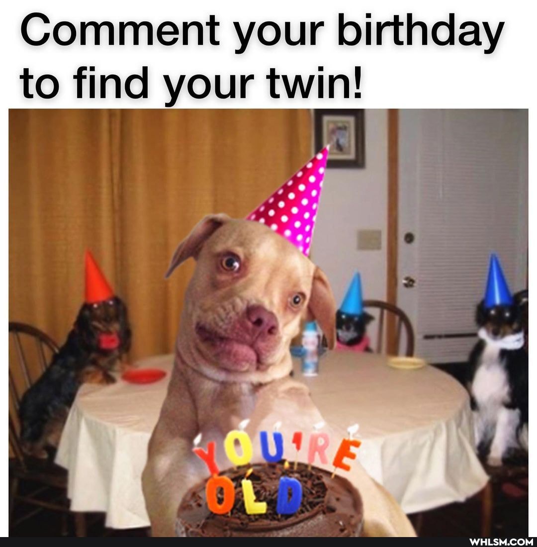 Comment your birthday to find your twin!