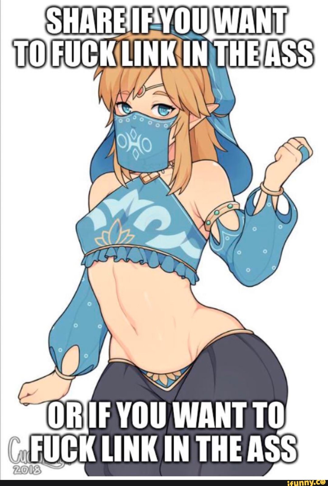 FUCK LINK IN THE ASS