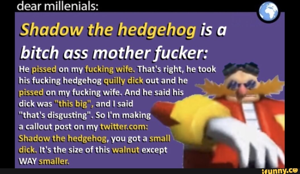 Dear Millenials: Shadow The Hedgehog Is A Bitch Ass Mother Fucker: He ...