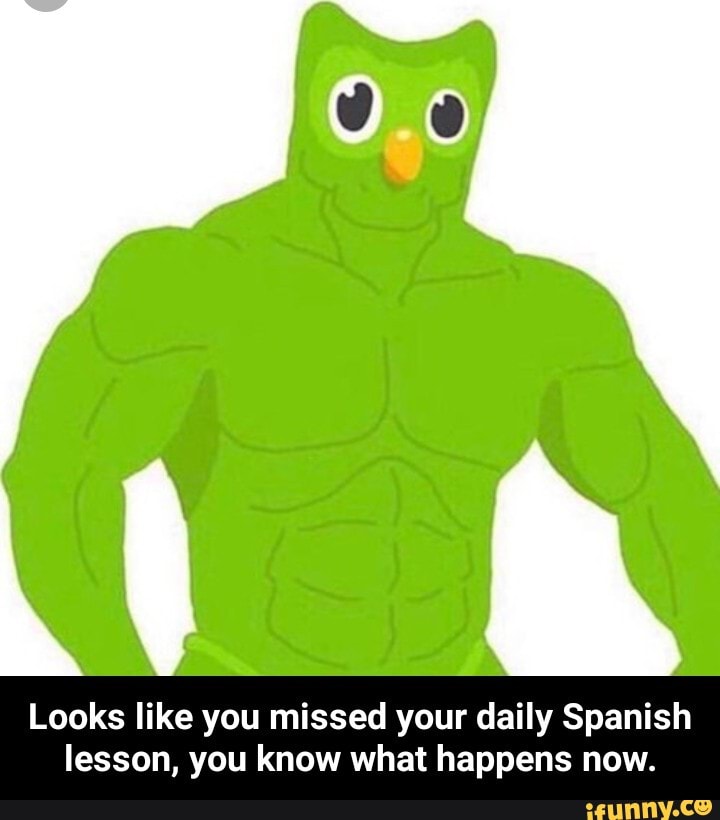 Looks Like You Missed Your Daily Spanish Lesson You Know What Happens Now Looks Like You Missed Your Daily Spanish Lesson You Know What Happens Now Ifunny