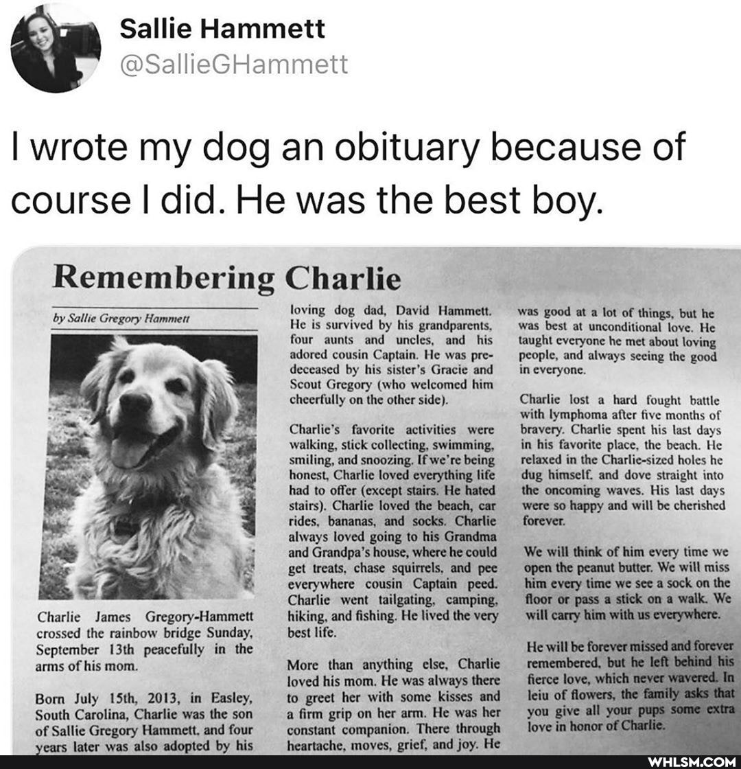 Sallie
@SallieGHammett
I wrote my dog an obituary because of course I did. He was the best boy.
Remembering Charlie
by Sallie Gregory Hammett
Charlie James Gregory-Hammett crossed the rainbow bridge Sunday,
September 13th peacefully in the arms of his mom.
Born July 15th, 2013, in Easley,
South Carolina, Charlie was the son of Sallie Gregory Hammett, and four
loving dog dad, David Hammett.
He is survived by his grandparents, four aunts and uncles, and his adored cousin Captain. He was pre- deceased by his sister's Gracie and
Scout Gregory (who welcomed him cheerfully on the other side).
Charlie's favorite activities were walking, stick collecting, swimming, smiling, and snoozing. If we're being.
honest, Charlie loved everything life had to offer (except stairs. He hated stairs). Charlie loved the beach, car rides, bananas, and socks. Charlie always loved going to his Grandma and Grandpa's house, where he could get treats, chase squirrels, and pee everywhere cousin Captain peed.
Charlie went tailgating, camping, hiking, and fishing. He lived the very best life.
More than anything else, Charlie loved his mom. He was always there to greet her with some kisses and a firm grip on her arm. He was her constant companion. There through
was good at a lot of things, but he was best at unconditional love. He taught everyone he met about loving
People, and always seeing the good in everyone.
Charlie lost a hard fought battle with lymphoma after five months of bravery. Charlie spent his last days in his favorite place, the beach. He relaxed in the Charlic-sized holes he dug himself. and dove straight into the oncoming waves. His last days were so happy and will be cherished forever.
We will think of him every time we
'open the peanut butter. We will miss him every time we see a sock on the floor or pass a stick on a walk. We
will carry him with us everywhere.
be missed and
love, which acver
flowers, the
you give all pugs same