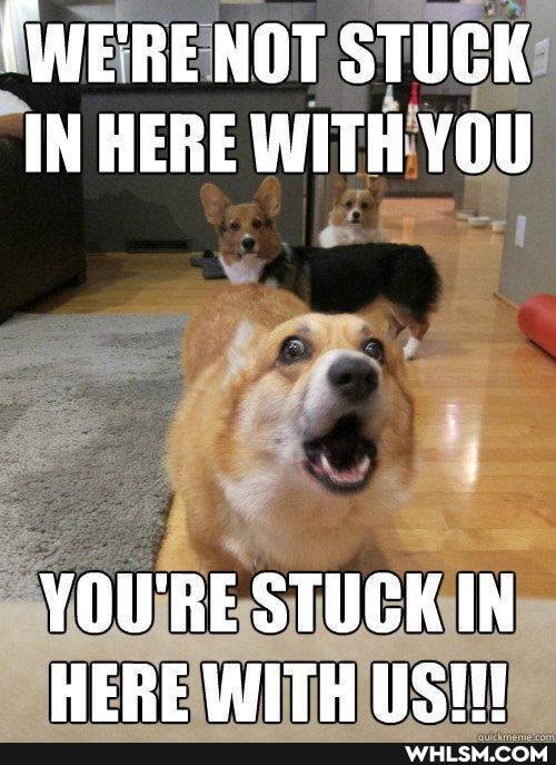 'WE'RE NOT STUCK IN HERE WITH YOU
YOU'RE STUCK IN HERE WITH US