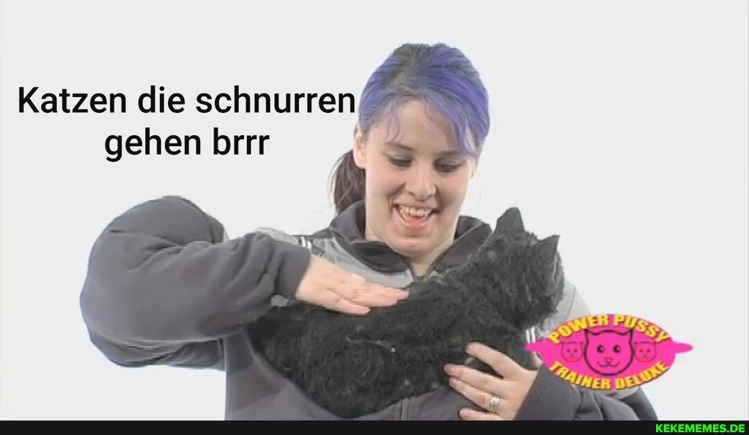 Katzen die schnurren I gehen brrr