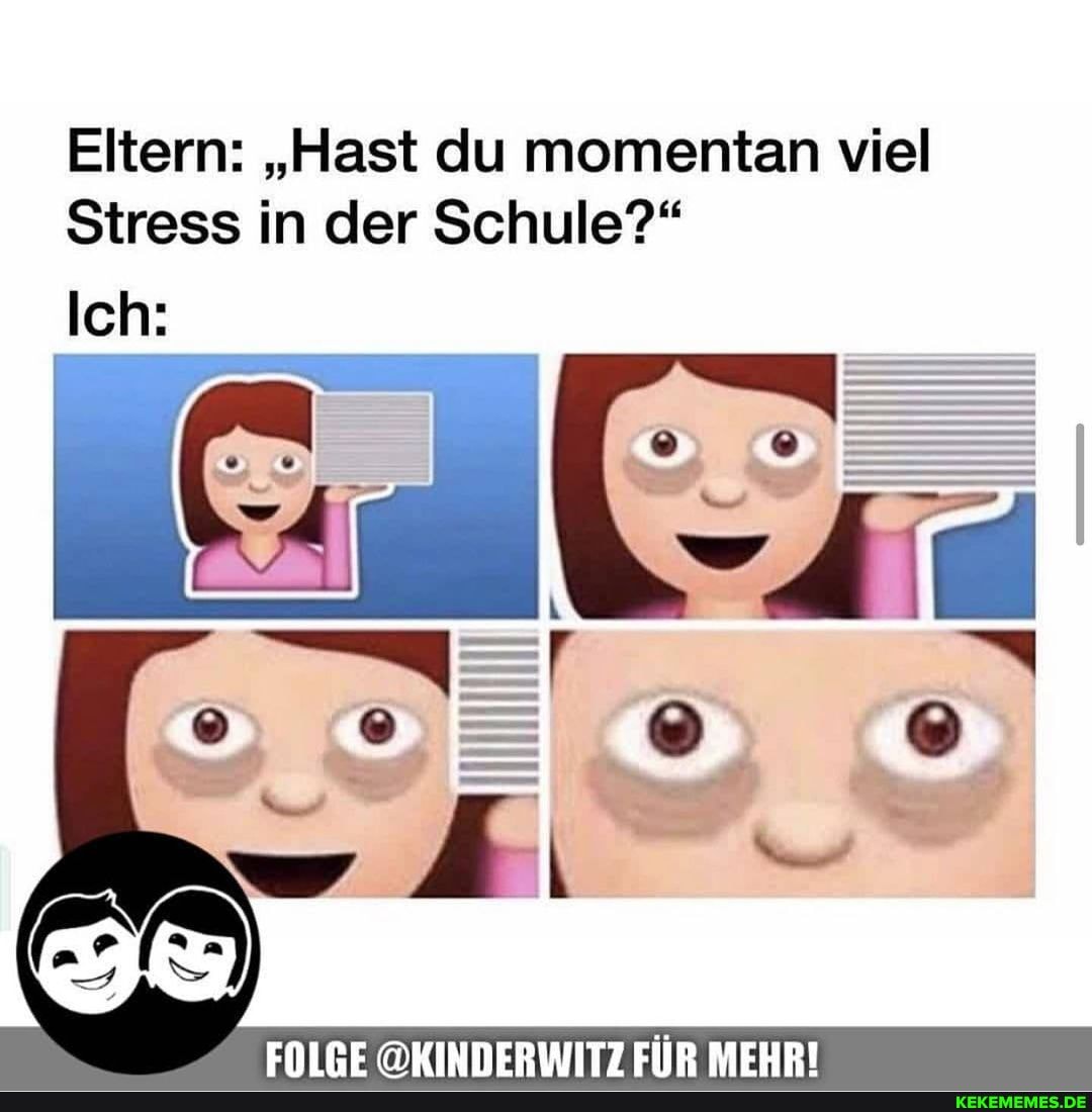 Eltern: "Hast du momentan viel
Stress in der Schule?"
Ich:
FIR