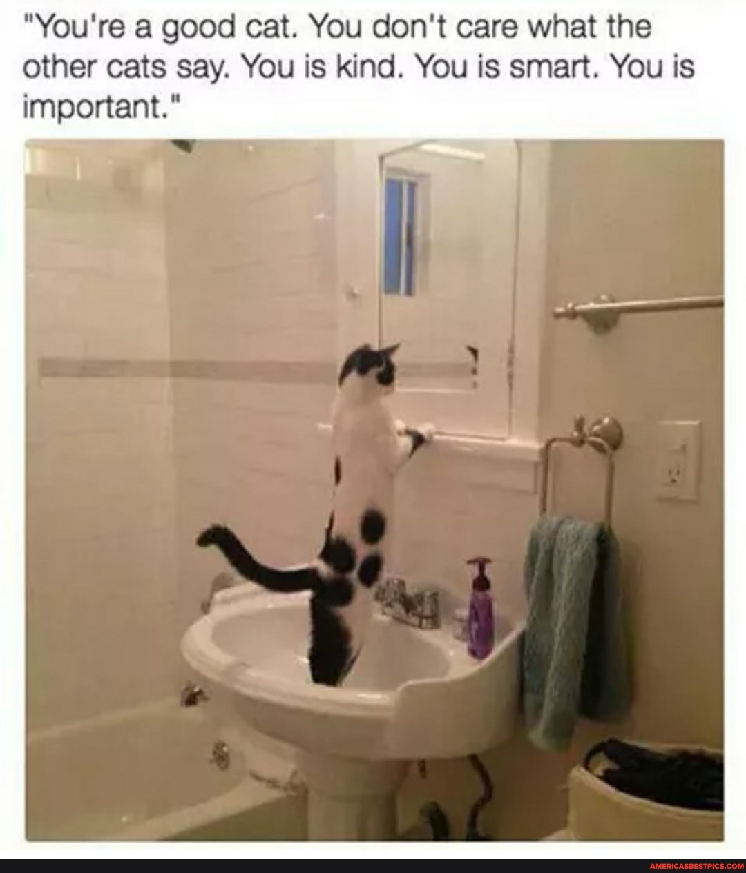 "You're a good cat. You don't care what the other cats say. You is kind. You is smart. You is important."