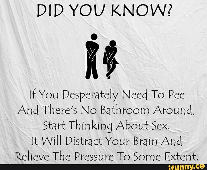 DID YOU KNOW? [(You Desperately Need To Pee And There's No Bathroom Around, Start Thinking About