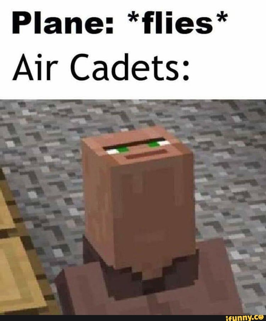 Plane: *flies*
Air Cadets: