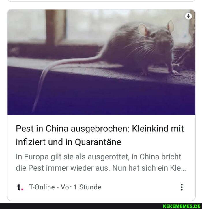 Pest in China ausgebrochen: Kleinkind mit infiziert und in Quarantäne
In Europa gilt sie als ausgerottet, in China bricht die Pest immer wieder aus. Nun hat sich ein Kle...
t. T-Online - Vor 1 Stunde